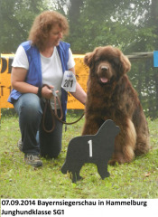 Alfred-1.-Platz