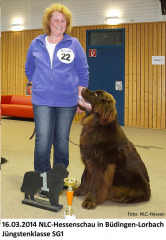 Alfred-1.Platz_