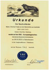 Urkunde-Frieda-Junghundklasse-2023-scaled