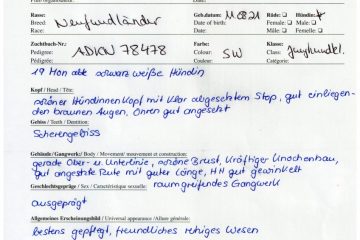 Richterbericht-Frieda-Junghundklasse-2023-scaled