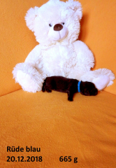 3-Blau-RS-201218