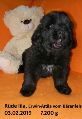 5-Lila-RS-030219