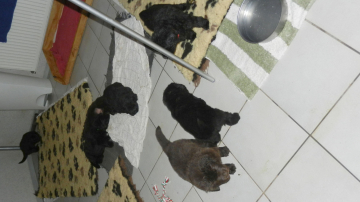 DSCN9913
