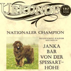 Nationales Championat für Janka Bär von der Spessarthöhe