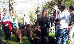 ADKN-Herbstwanderung am 04.10.2014 in Waldaschaff