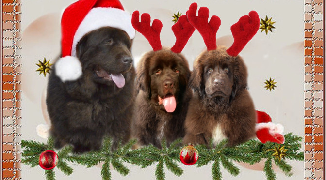 Frohe Weihnachten und alles Gute für das Jahr 2015
