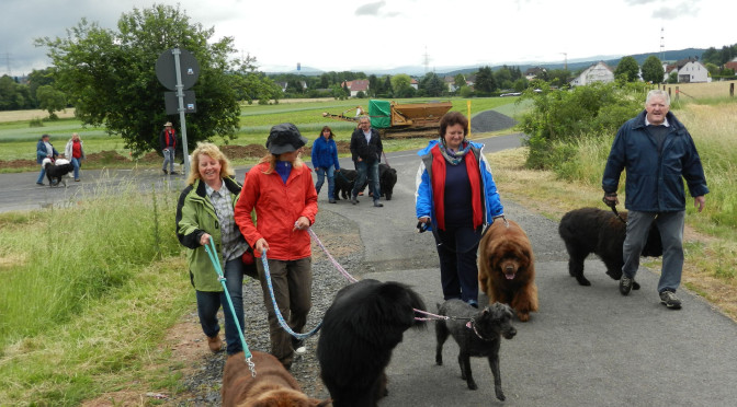 Wanderung am 20.06.2015 in Eichenzell