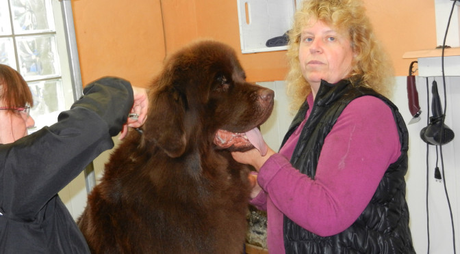 Bärbel’s erster Friseurbesuch