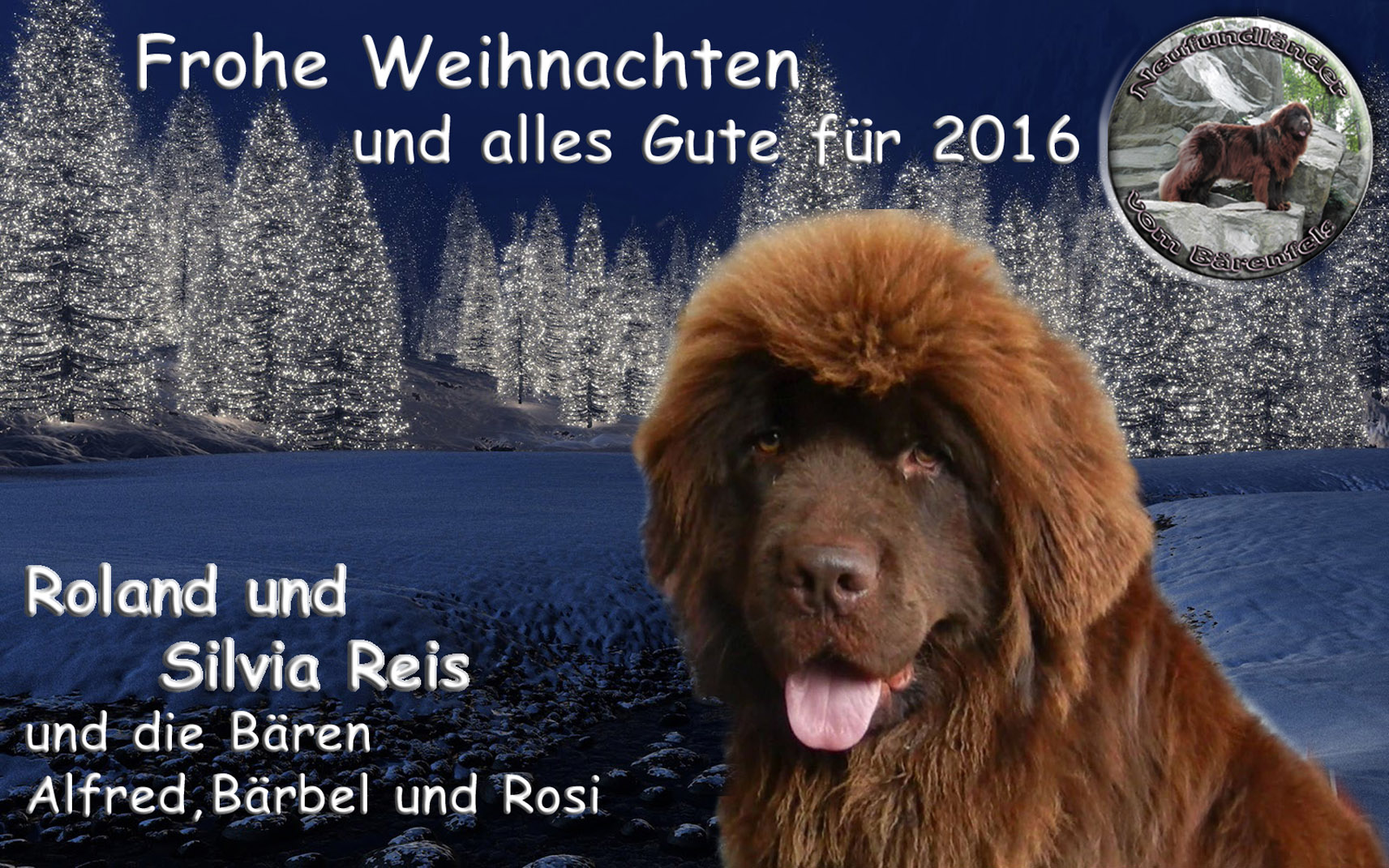 Weihnachtskarte 2015