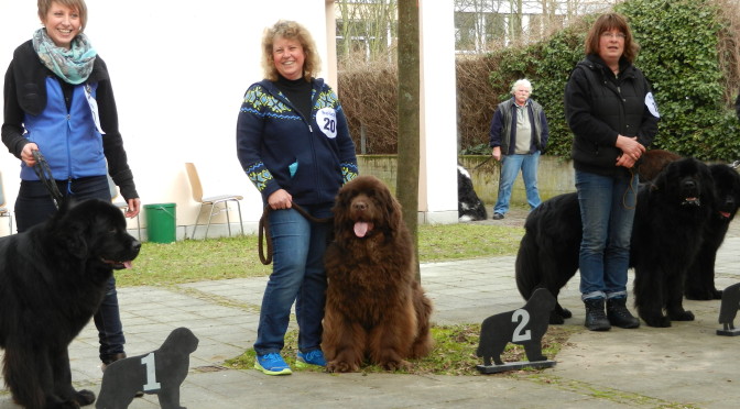 Jubiläumssiegerschau ADKN am 13.03.2016