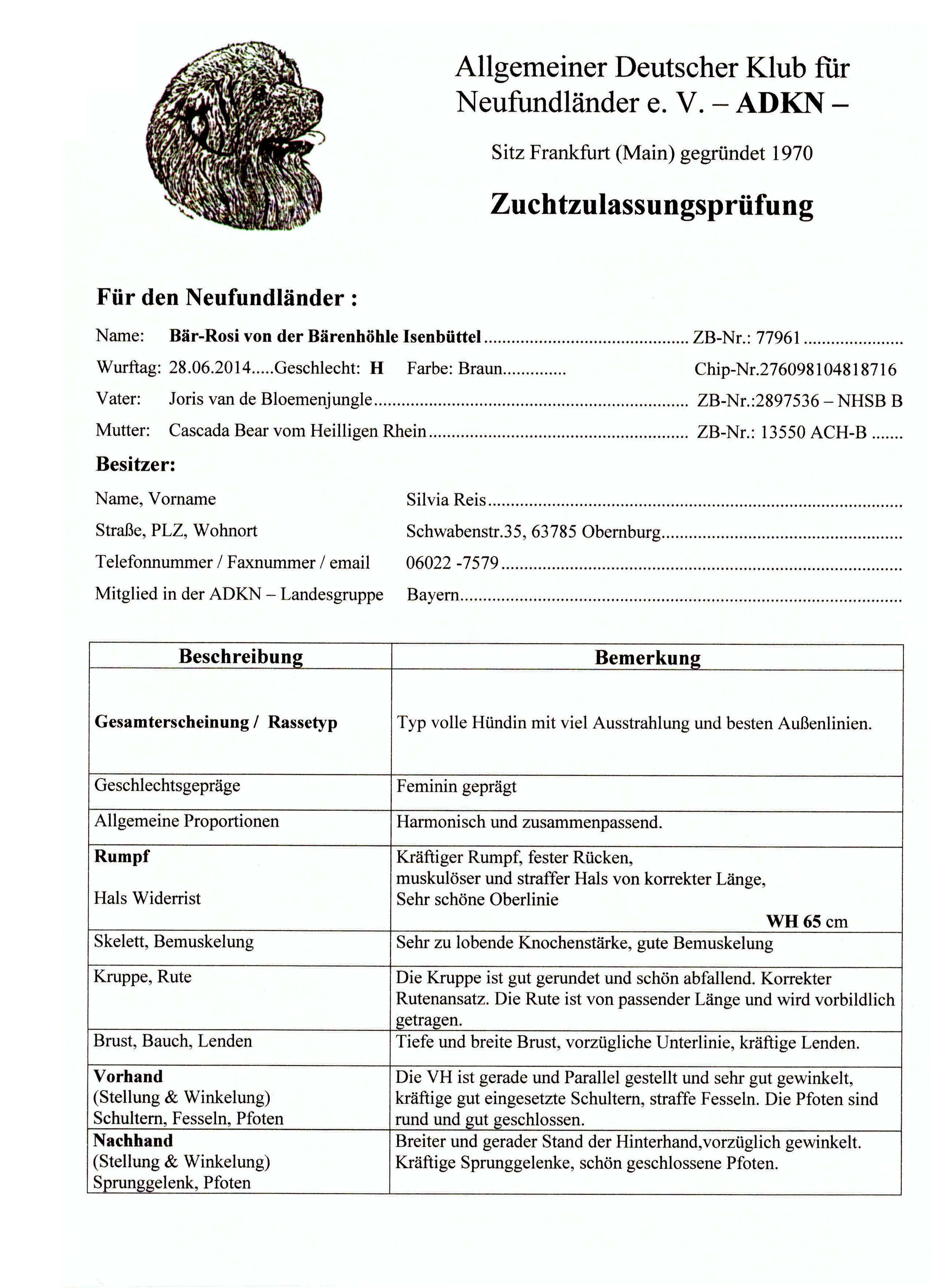 Zuchtzulassung Bär-Rosi1