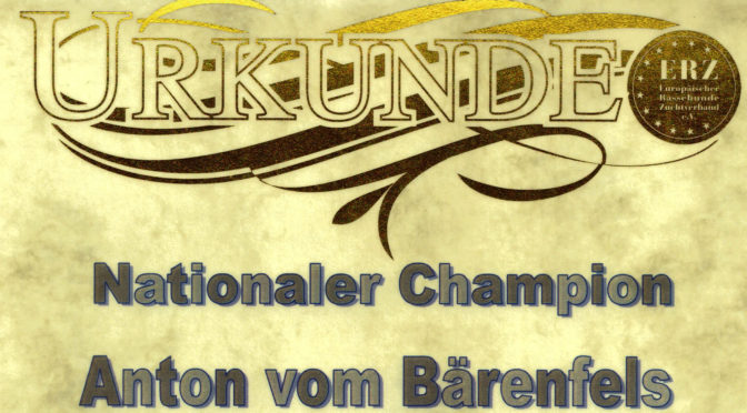 Nationaler Champion Anton vom Bärenfels