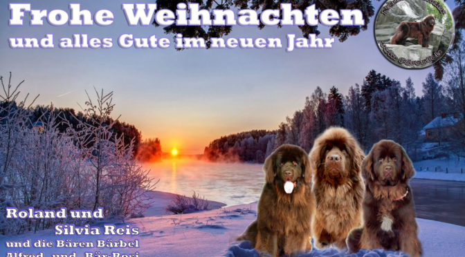 Frohe Weihnachten und alles Gute für das Jahr 2021