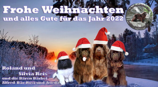 Frohe Weihnachten und alles Gute für 2022