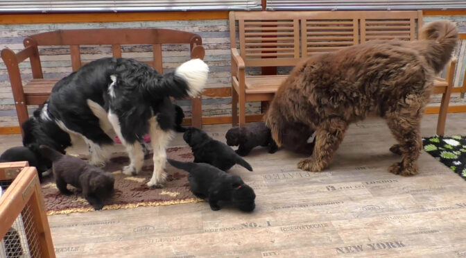 Der erste Tag im Wintergarten