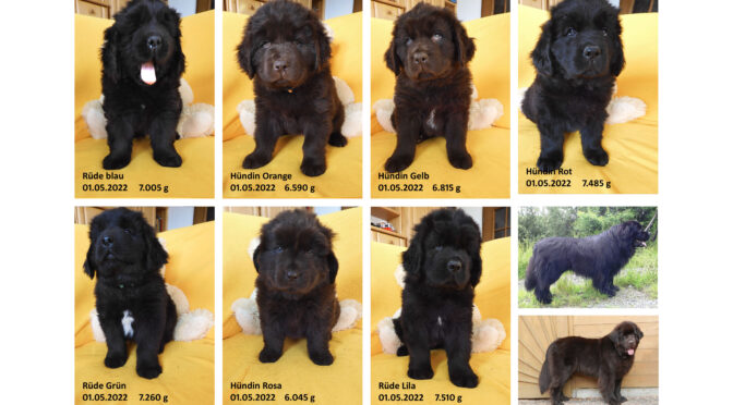 Teddybilder vom 01.05.2022