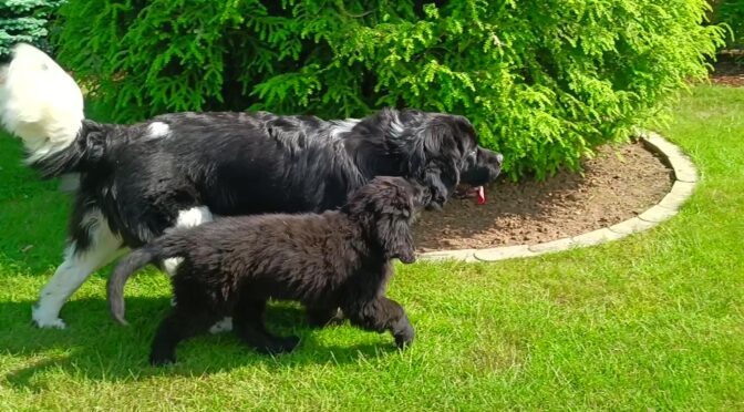 Leni  und Frieda in Opa’s Garten