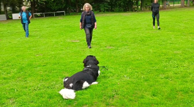 Frieda beim Basis-Training