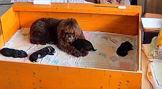 Besuch in der Wurfkiste