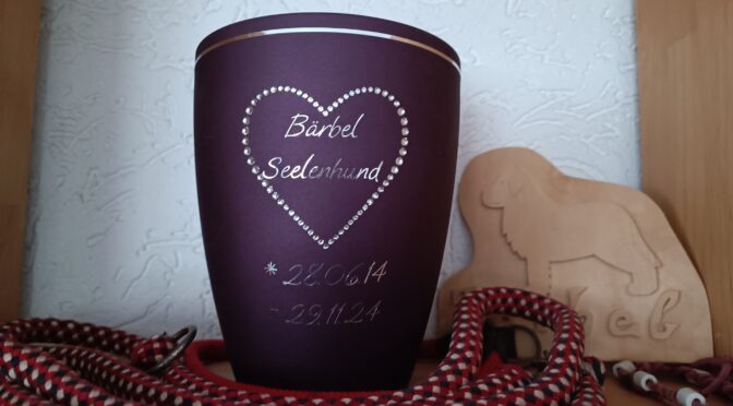 Seelenhund Bärbel